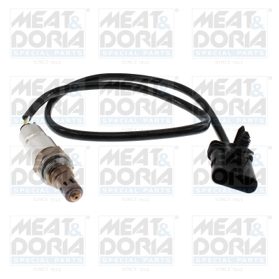 Oxygen Sensor
